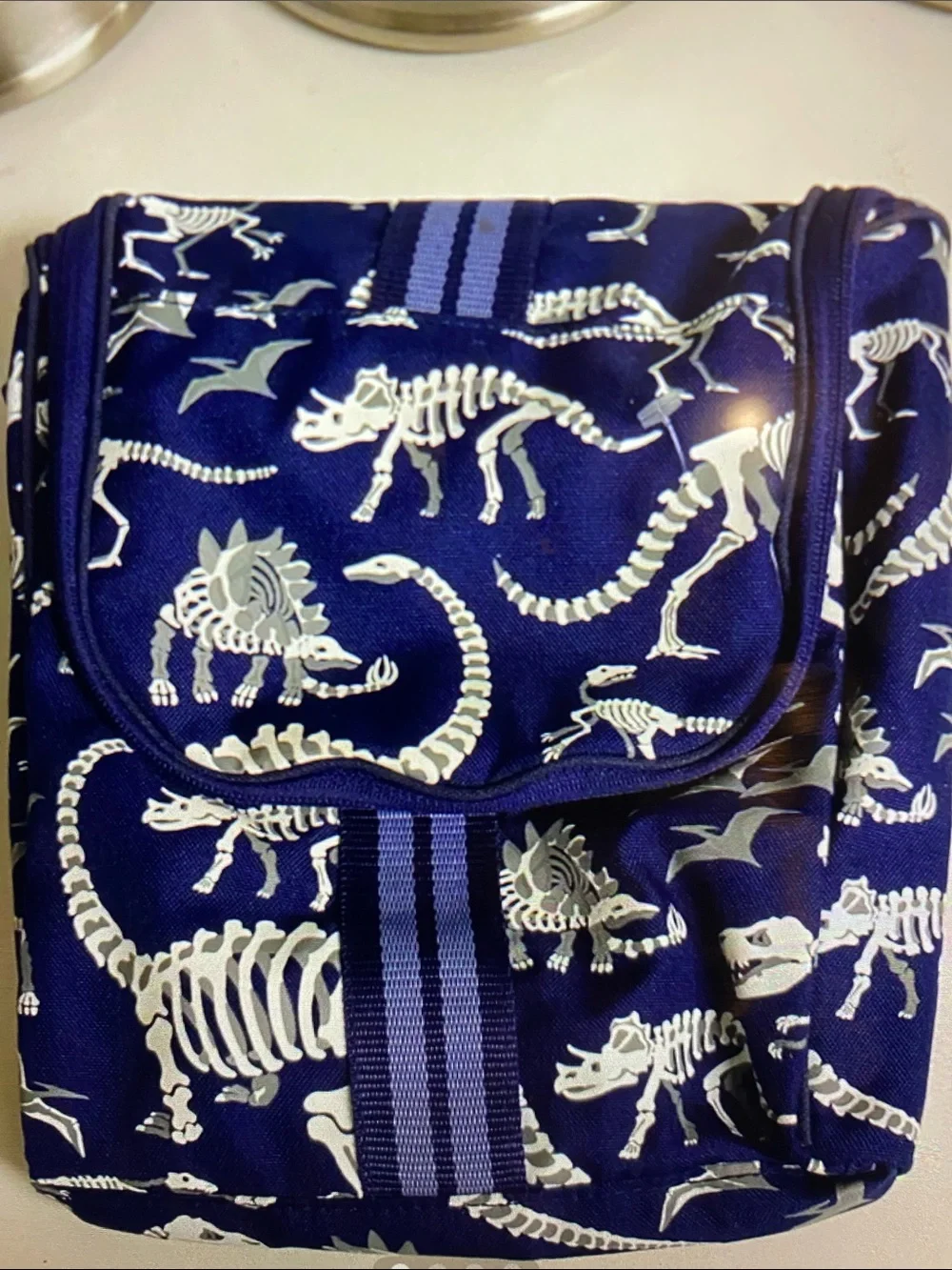 Pottery Barn Kids Glow in the dark Dinosaur toiletry bag luggage sleepover